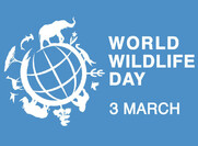 Παγκόσμια Ημέρα Άγριας Ζωής (World Wildlife Day)