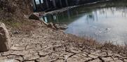 Κλιματική κρίση / «Ερημοποιούμαστε» - Συνθήκες ξηρασίας στην ανατολική ηπειρωτική Ελλάδα