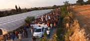 Φέρνουν φθηνούς μετανάστες-εργάτες και απολύουν Έλληνες εργαζόμενους