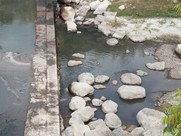Σοβαρή ρύπανση του ποταμού Σελινούντα από την Π.Ε.Σ. 