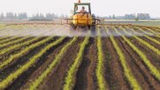 Διαρροή: Το Ευρωπαϊκό Κοινοβούλιο θα πιέσει για μείωση των φυτοφαρμάκων κατά 80%