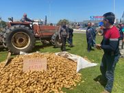 "Μέτρα στήριξης των παραγωγών πατάτας στη Δυτική Αχαΐα και στον Ηλειακό κάμπο"