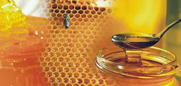 Η χρήση γενετικά τροποποιημένης γύρης  για το μέλι δε θα χρειάζεται να αναγράφεται στο προϊόν, αν αυτή δεν ξεπερνάει το 0,9%