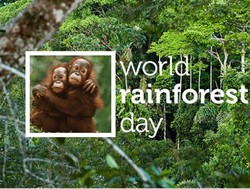 Παγκόσμια Ημέρα Τροπικών Δασών