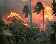 Χαβάη: Τουλάχιστον 36 νεκροί σε πυρκαγιά που τροφοδοτήθηκε από τυφώνα