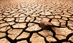 Η κεντρική Ευρώπη αντιμετωπίζει τη χειρότερη ξηρασία της τελευταίας χιλιετίας – «Θυμίζει το εφιαλτικό 1540»