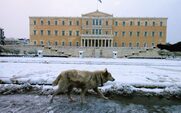 Χαμός με τα άφαντα χιόνια στην Αττική: Το ξέσπασμα Τσατραφύλλια και η εξήγηση Μαρουσάκη (video)