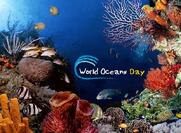 Πρώτη Παγκόσμια Ηµέρα Ωκεανών (World Oceans-Day)