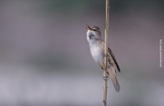 Ευρωπαϊκή Ημέρα Natura 2000: Μια γιορτή για την προστασία της φύσης