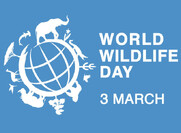 Παγκόσμια Ημέρα Άγριας Ζωής (World Wildlife Day)