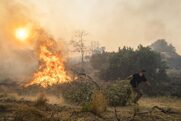 «Αντί για πυροσβεστικά, γεμίσαμε αστυνομία» – Το μήνυμα των εθελοντών που έσβηναν φωτιές (Video)