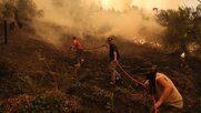 Φωτιές: Νύχτα αγωνίας στη Γορτυνία – Ζώα βρήκαν φρικτό θάνατο – Κάηκαν σπίτια κι αποθήκες