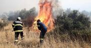 Δασοπροστασία με έμφαση στην καταστολή